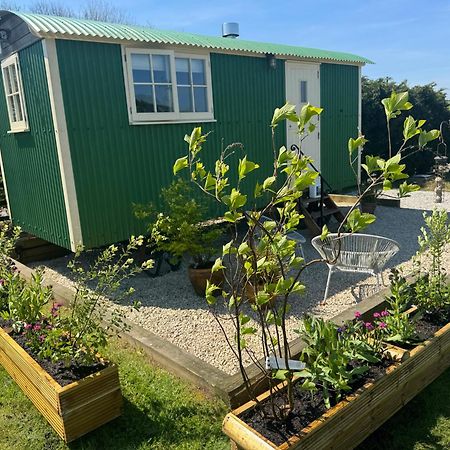 Toms Hut And Robins Rest Shepherd Huts Near Уейдбридж Екстериор снимка