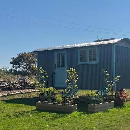 Toms Hut And Robins Rest Shepherd Huts Near Уейдбридж Екстериор снимка