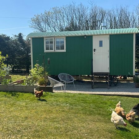 Toms Hut And Robins Rest Shepherd Huts Near Уейдбридж Екстериор снимка